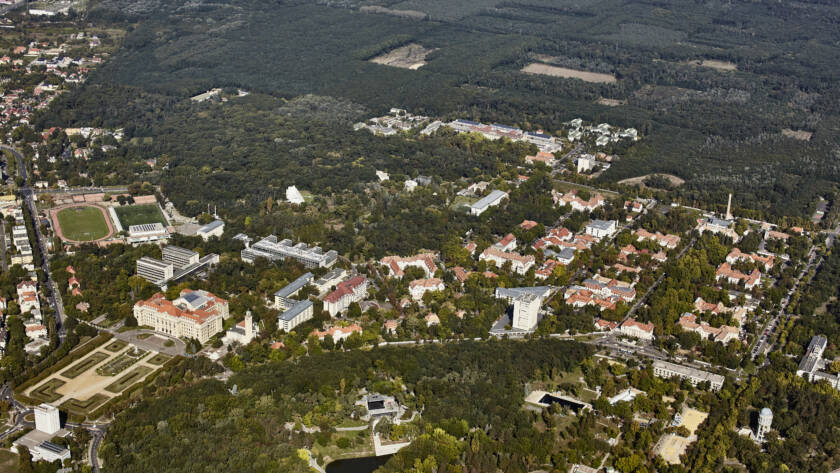 üniversite-kampüsü