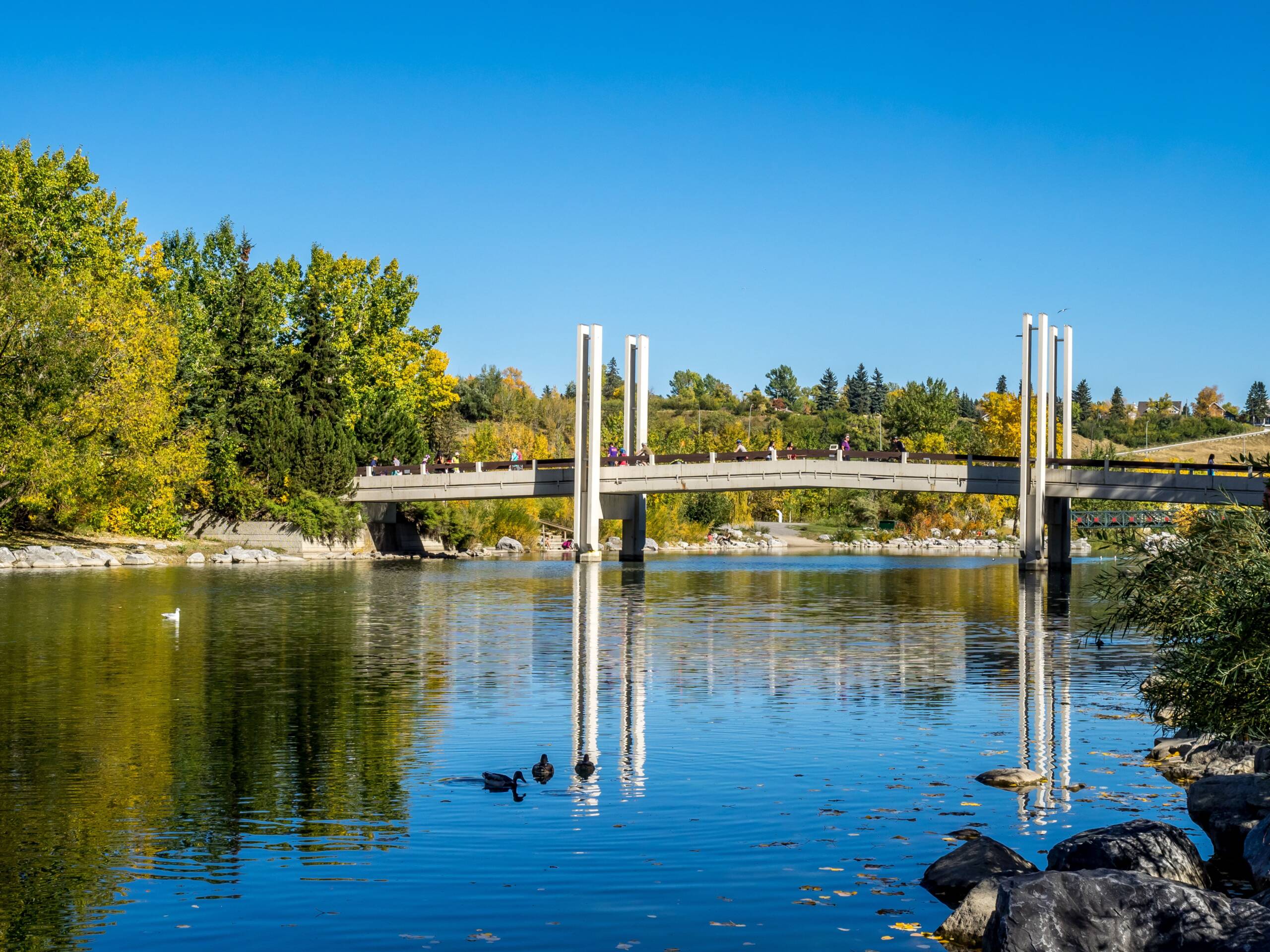 Calgary şehri 3