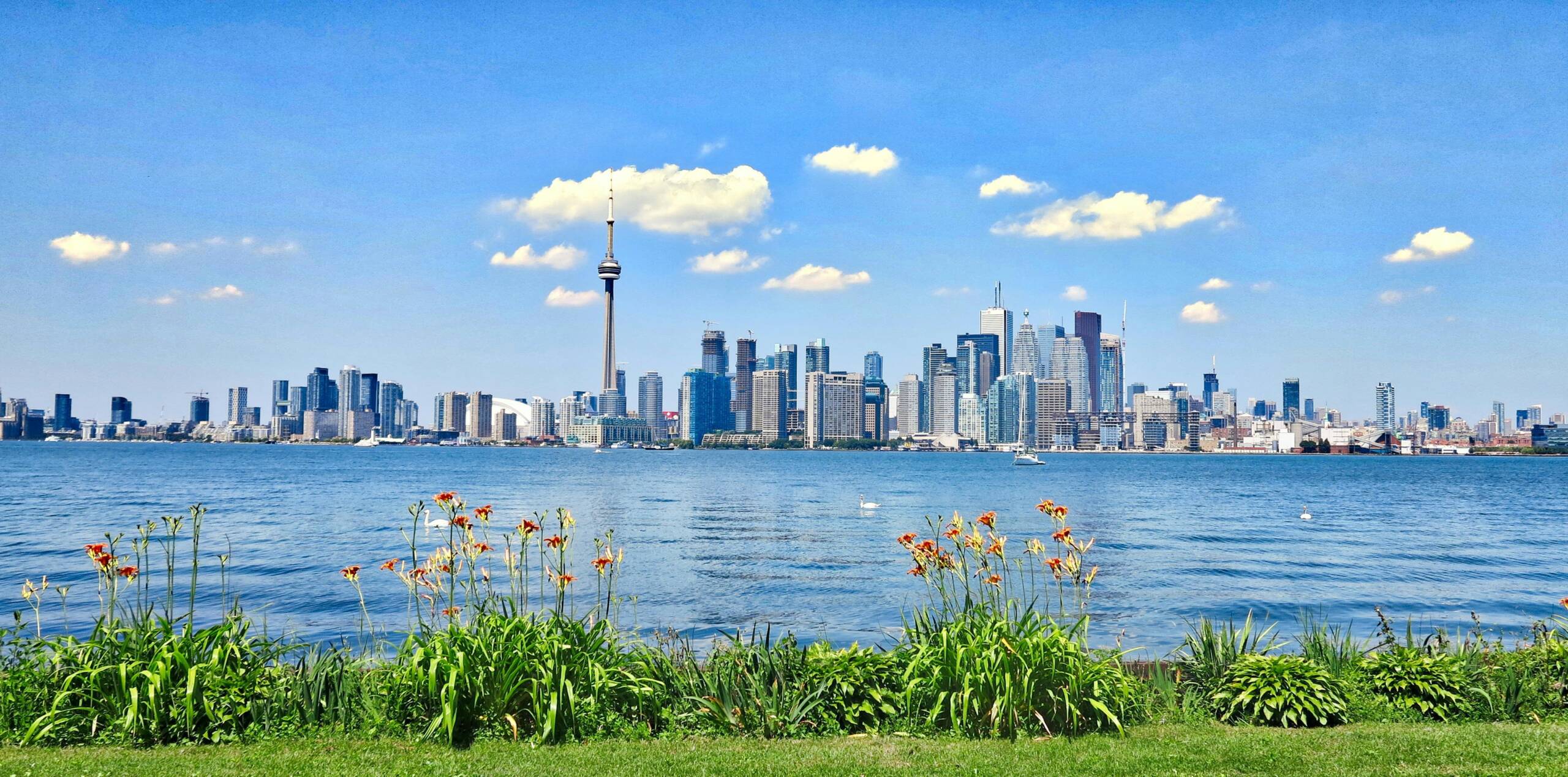 Toronto Dil Okulları