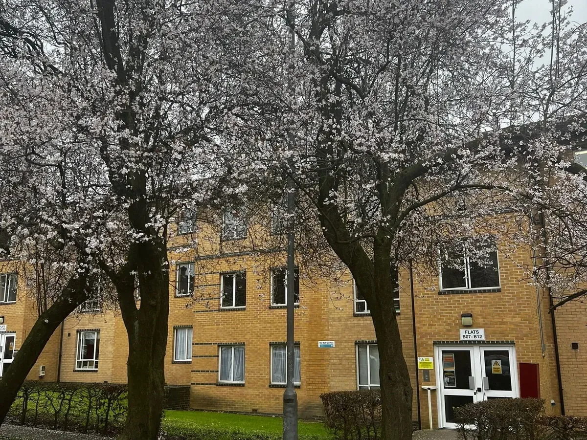 10-residence-building